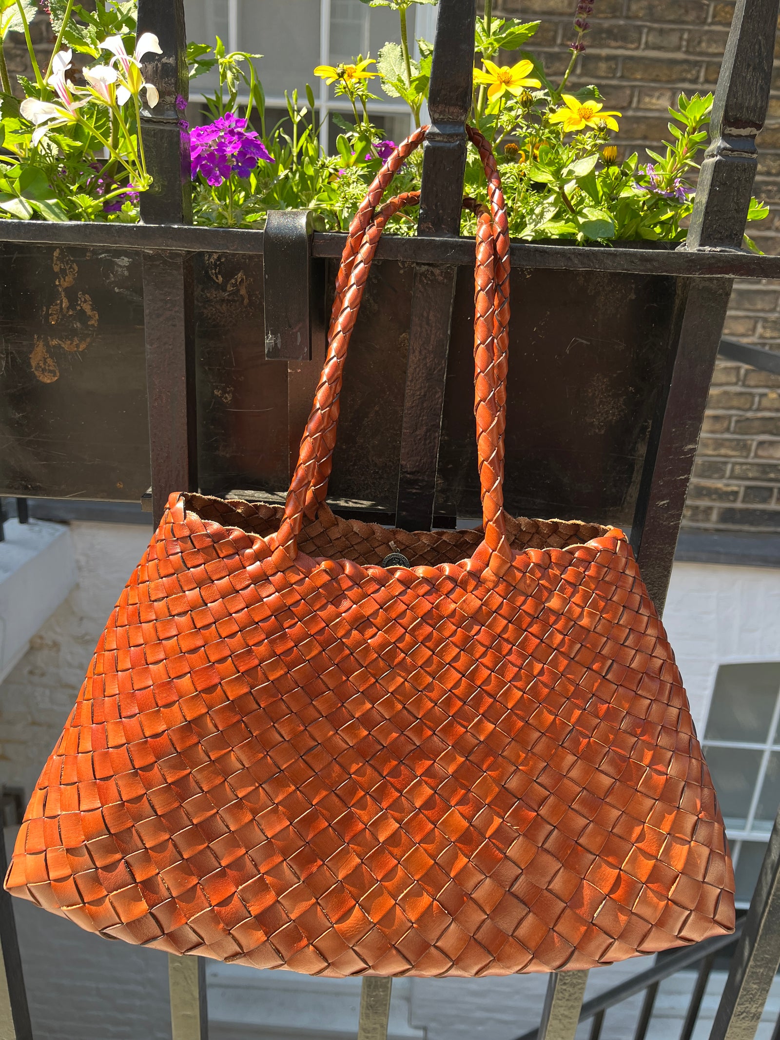 dragon diffusion sante croce