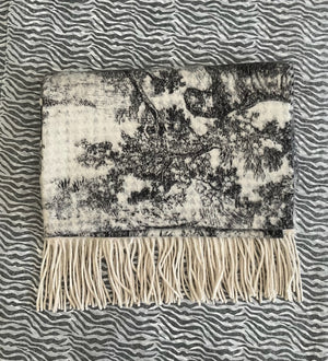 Toile Jouy Dioresque Big Cashmere Scarf