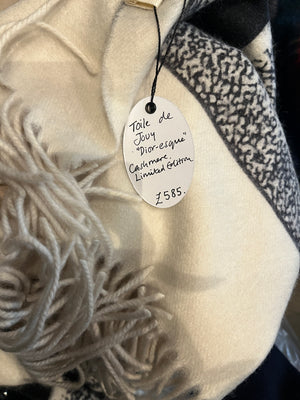 Toile Jouy Dioresque Big Cashmere Scarf